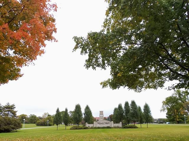 Photo of Mount Mary University