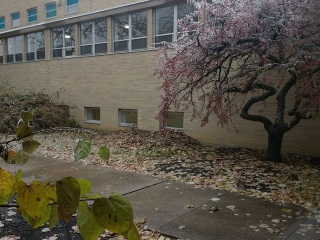 Photo of Mount Saint Joseph University