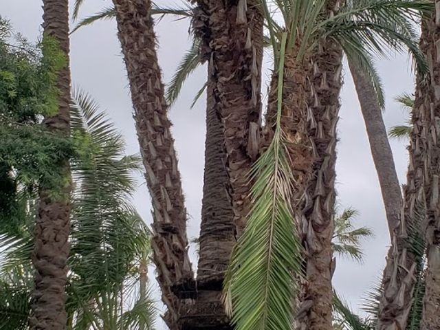 Photo of Mount Saint Mary's University - Doheny Campus