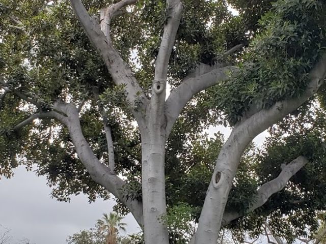 Photo of Mount Saint Mary's University - Doheny Campus