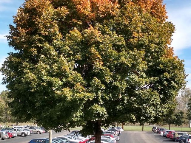 Photo of Mount Vernon Nazarene University