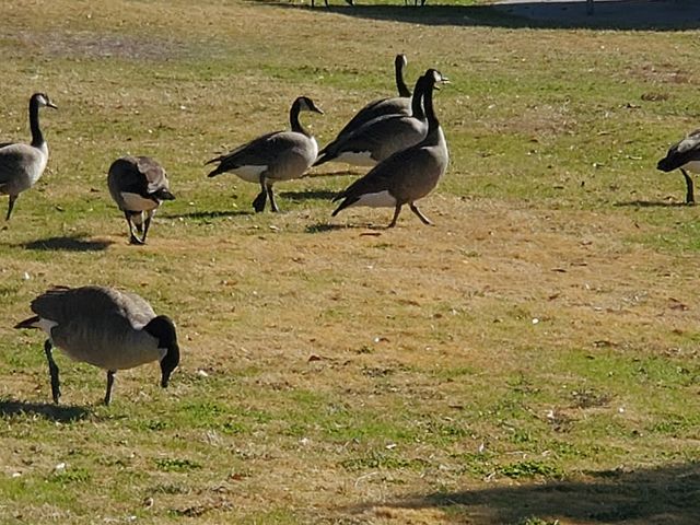 Photo of Molasky Family Park