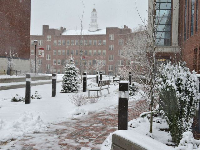 Photo of Molloy College