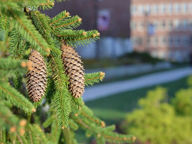 Photo of Molloy College