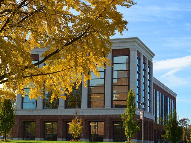 Photo of Molloy College