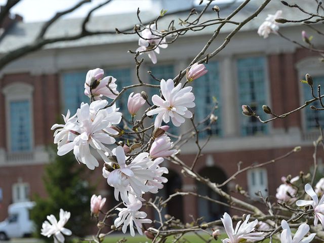 Photo of Molloy College