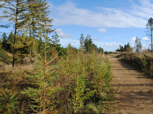 Photo of Momhøje Naturcenter