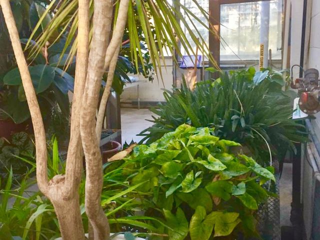 Photo of Monroe County Community College