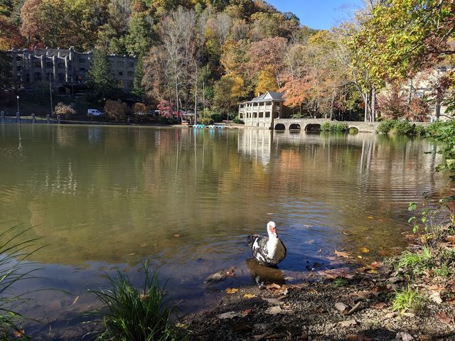 Photo of Montreat College
