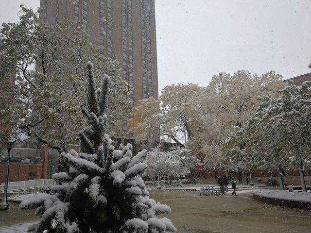 Photo of Moody Bible Institute