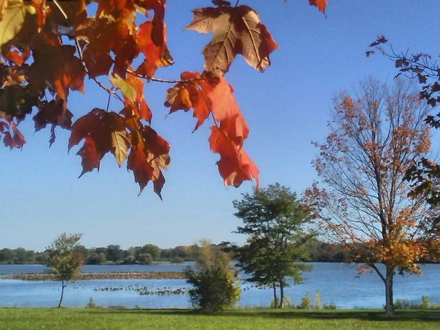 Photo of Moraine Valley Community College