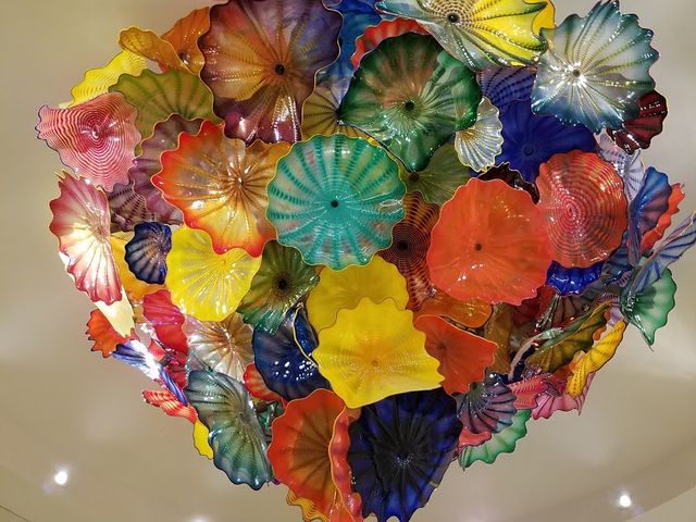 Photo of Mayo Clinic College of Medicine and Science - Florida