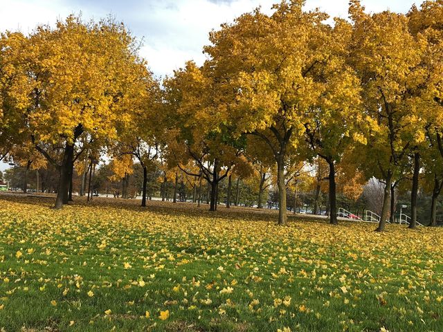 Photo of Macomb Community College