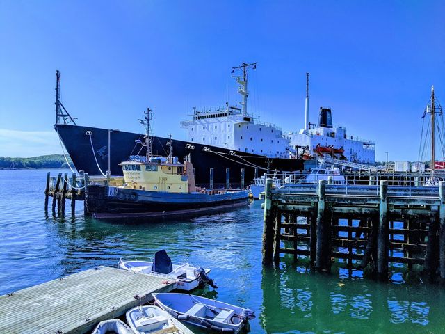 Photo of Maine Maritime Academy