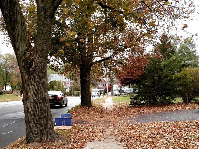 Photo of Maria College of Albany