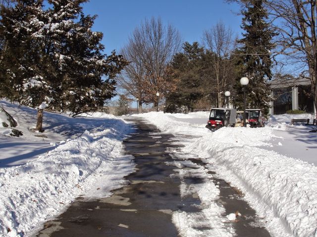 Photo of Marist College