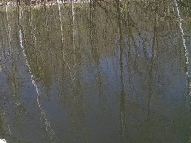 Photo of Marlboro College