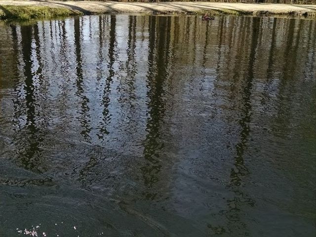 Photo of Marlboro College