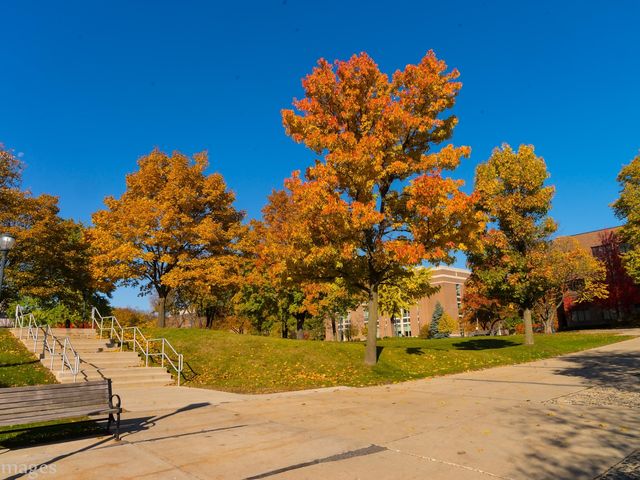 Photo of Marquette University