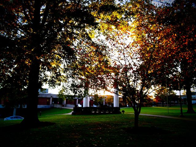 Photo of Martin Methodist College