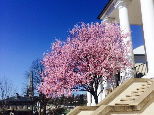 Photo of Mary Baldwin University