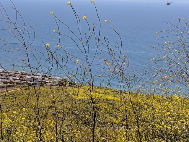 Photo of Marymount California University