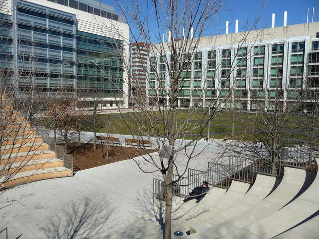 Photo of Massachusetts Institute of Technology