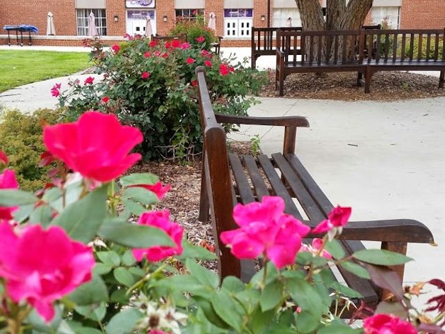 Photo of McKendree University