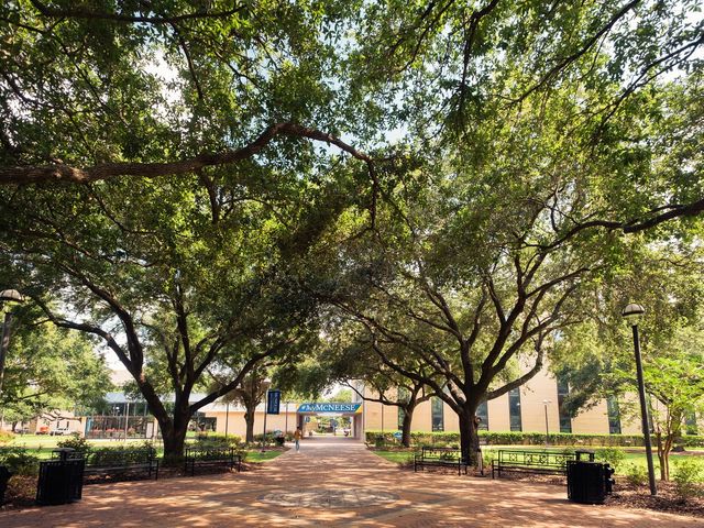 Photo of McNeese State University