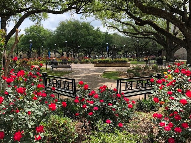 Photo of McNeese State University
