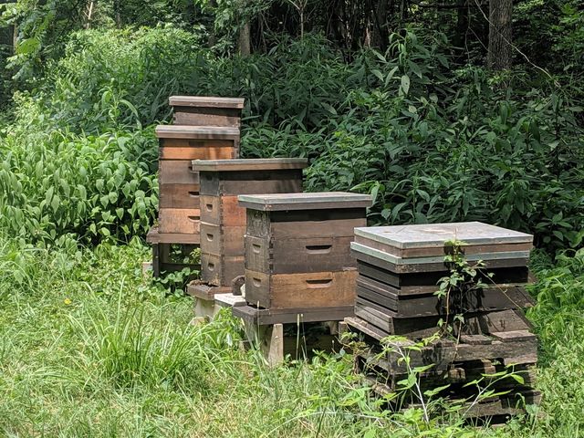 Photo of Methodist Theological School in Ohio