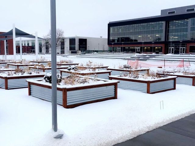 Photo of Metropolitan Community College Area