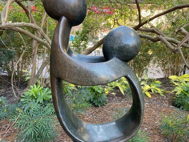 Photo of Medical University of South Carolina