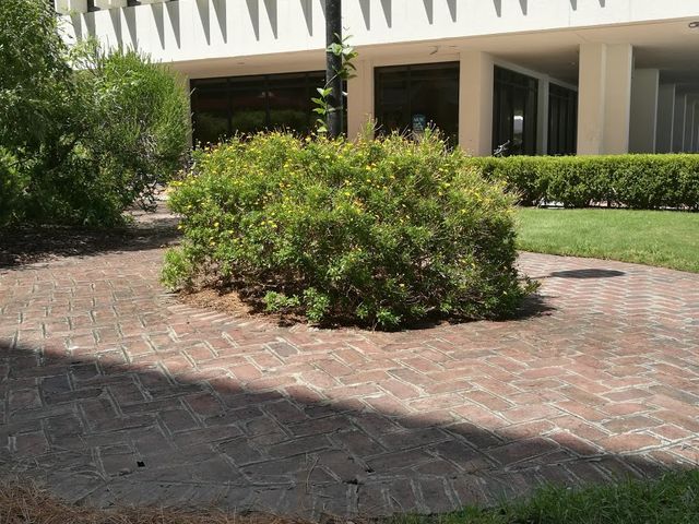 Photo of Medical University of South Carolina