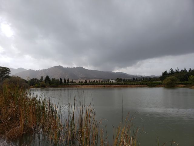 Photo of Mendocino College