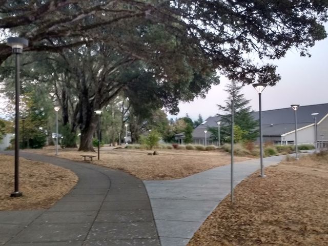 Photo of Mendocino College