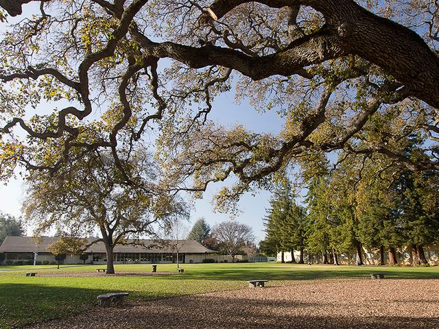 Photo of Menlo College