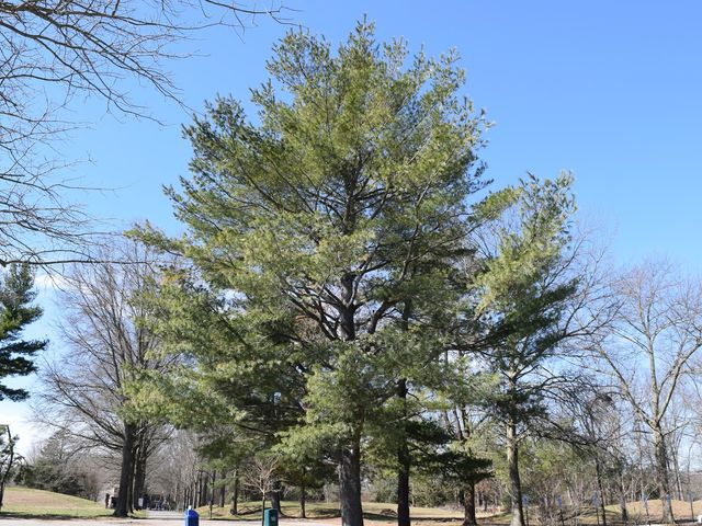 Photo of Mercer County Community College