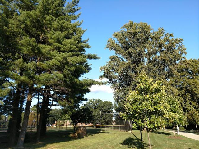 Photo of Mercy College