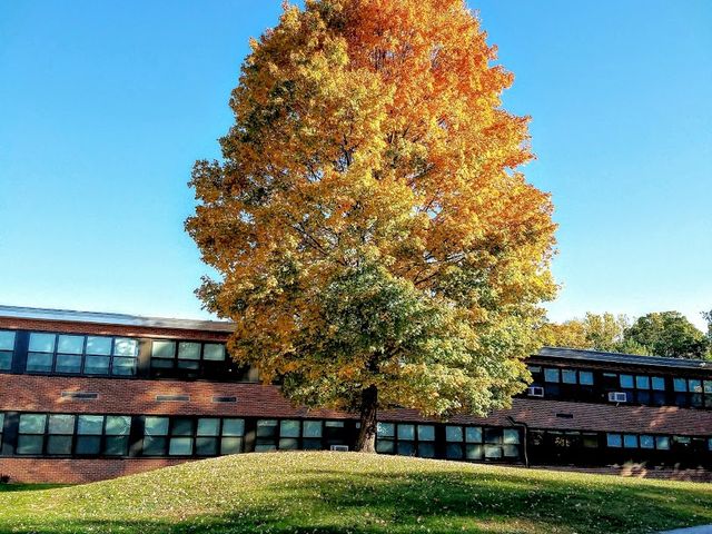 Photo of Mercy College