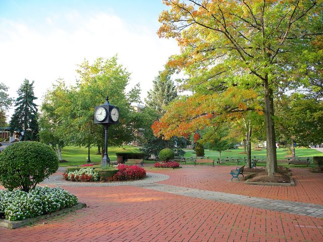 Photo of Mercyhurst University