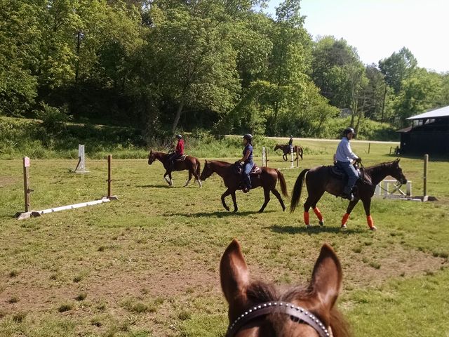 Photo of Meredith Manor International Equestrian Center