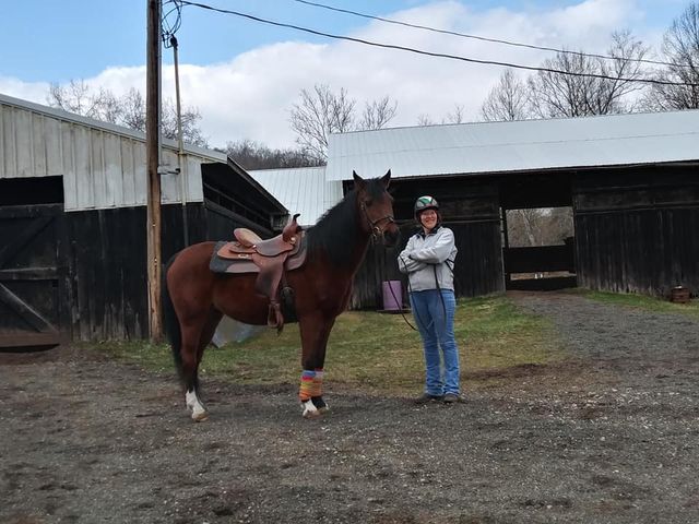 Photo of Meredith Manor International Equestrian Center