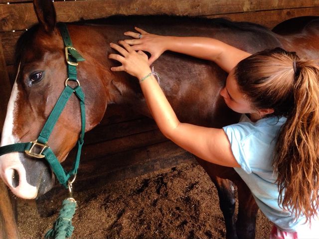 Photo of Meredith Manor International Equestrian Center