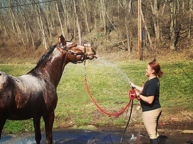 Photo of Meredith Manor International Equestrian Center