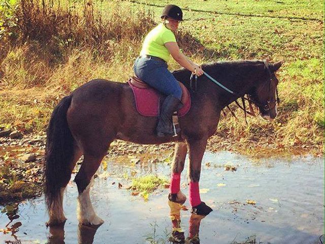 Photo of Meredith Manor International Equestrian Center