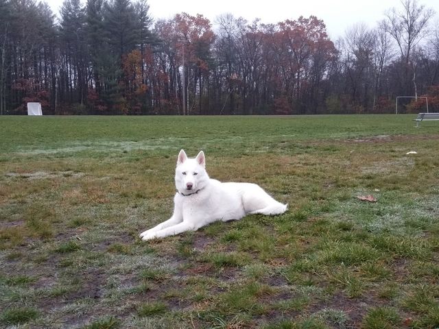 Photo of Merrimack College