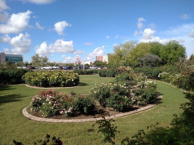 Photo of Mesa Community College