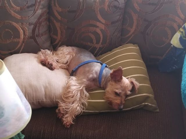 Photo of Mitchell Community College