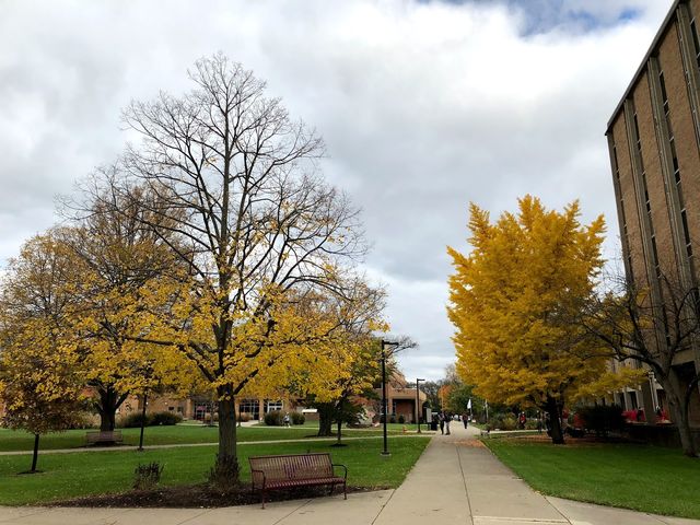 Photo of Miami University-Hamilton